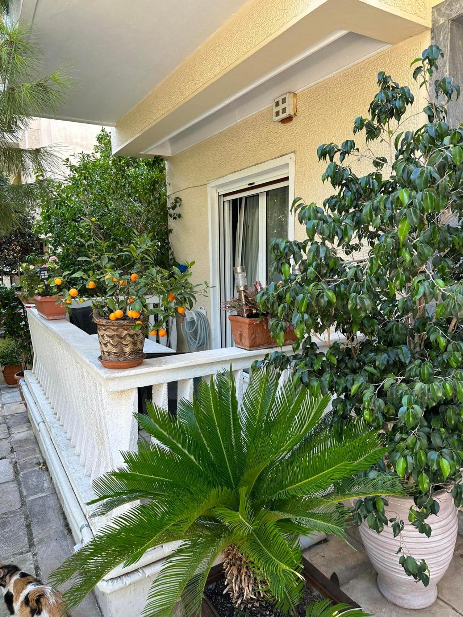 Angel , Luxury 2Bd Apartment Next To The Beach 아테네 외부 사진